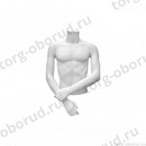 Торс мужской с руками, скульптурный, укороченный, цвет белый, руки согнуты. MD-C-20-01M