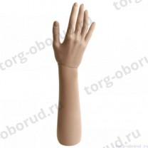 Рука, цвет телесный, 370мм, MD-ARM-B
