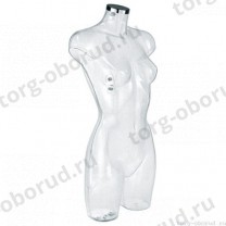 Торс женский, абстрактный, цвет прозрачный. MD-BU 9451