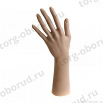 Рука короткая, цвет телесный, 300мм, MD-ARM-A