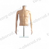 Торс мужской TORSOS male MT-1S