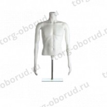 Торс мужской TORSOS male MT-1W