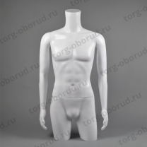 Торс мужской TORSOS male MT-2W