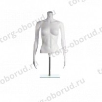 Торс женский с подставкой TORSOS female FT-1W