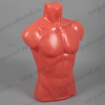 Манекен торс мужской скульптурный, пластиковый, цвет телесный. Т-402